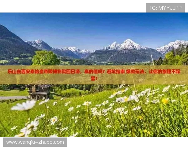 玩球让球规则避坑指南数字高频玩法防骗 玩球让球规则避坑指南数字高频玩法防骗